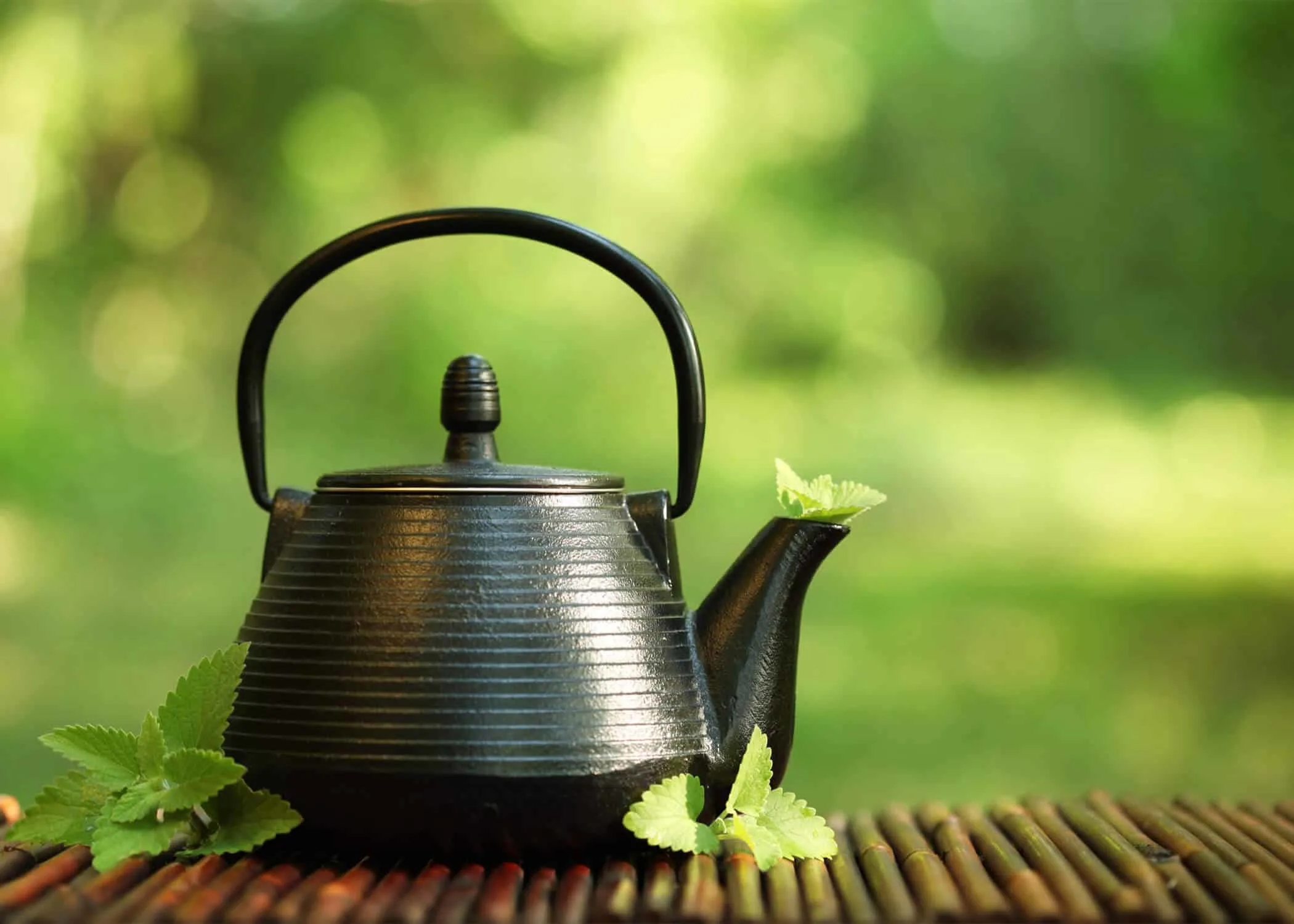 How to Pick The Best Teapot For Loose Leaf Tea