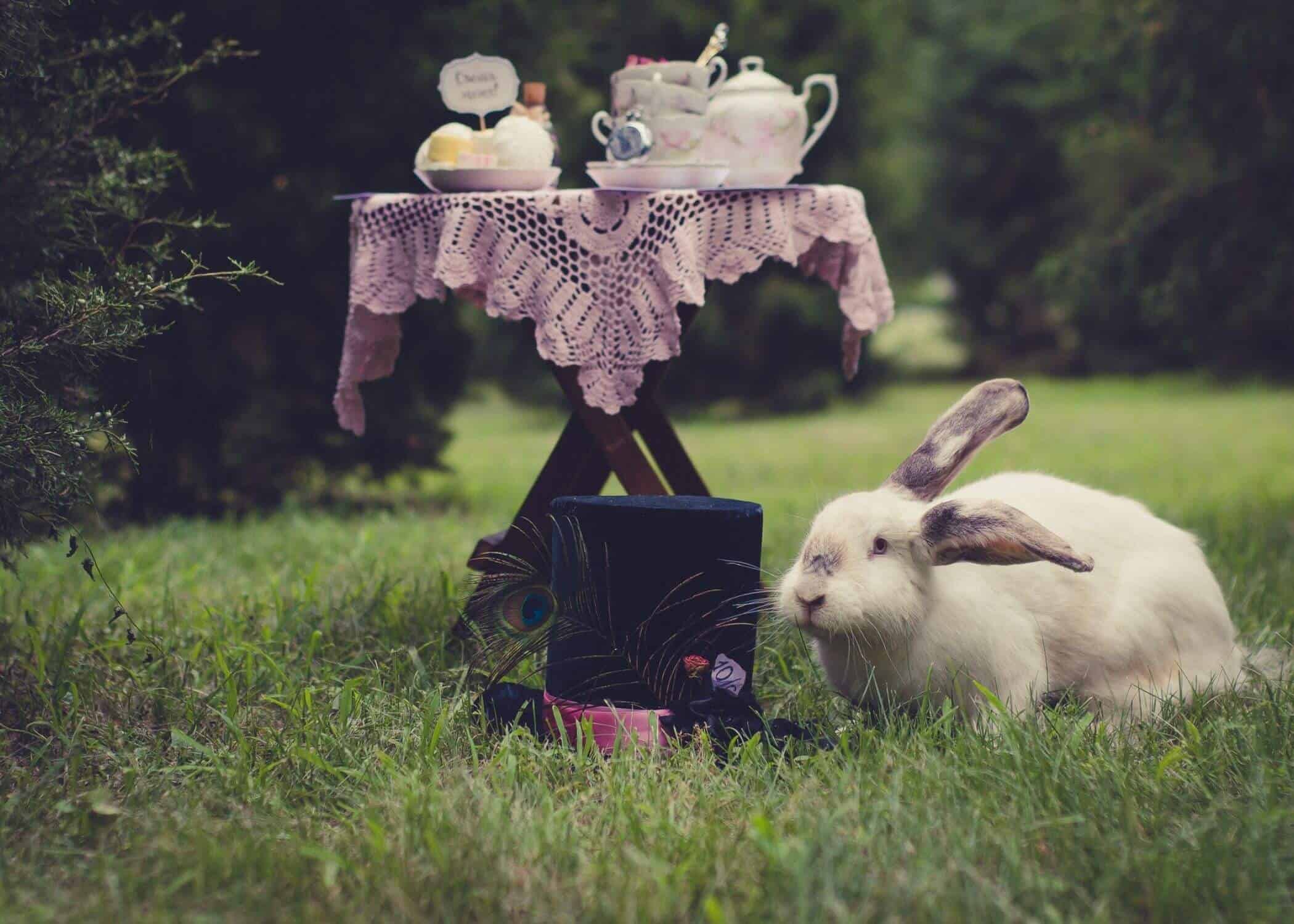 Rabbit and top hat on the grass in front of a table set for a tea party. Is a hat tea party attire?
