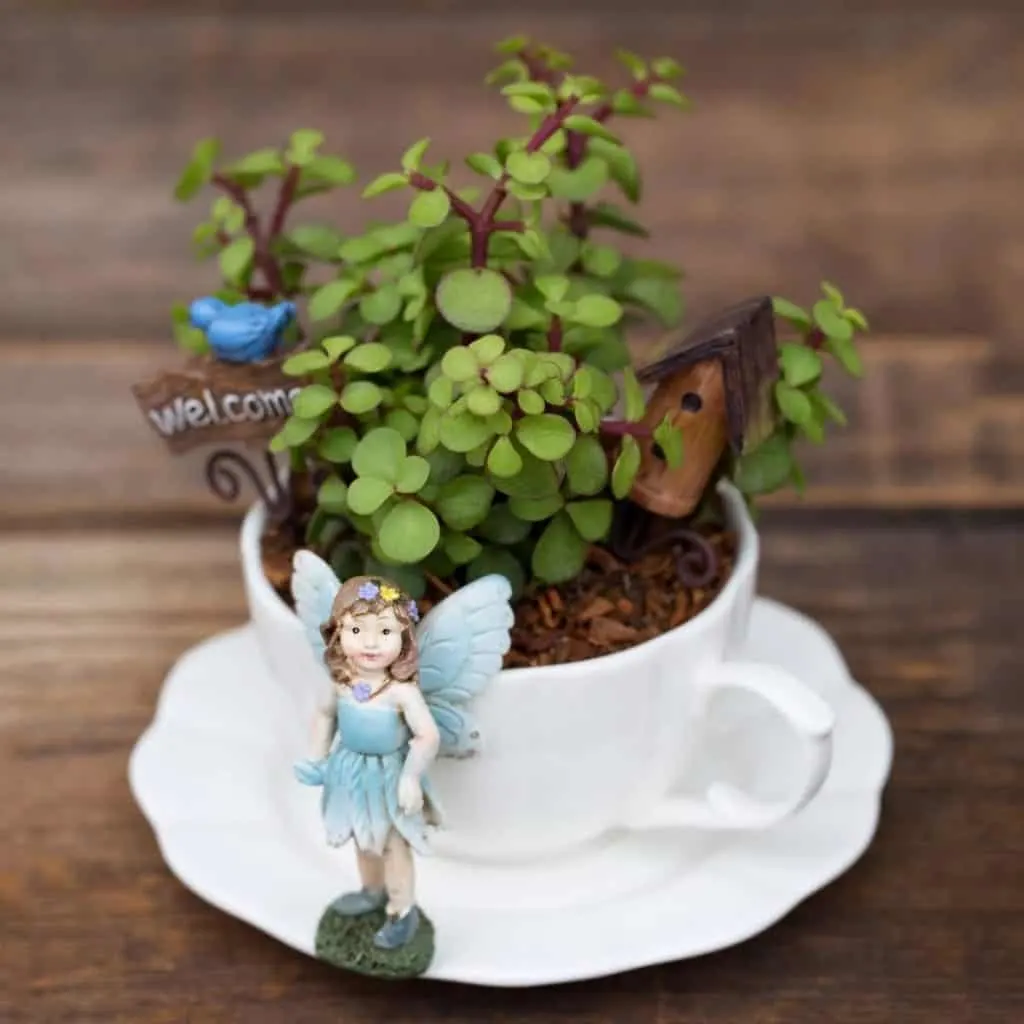 tea cup fairy garden decoration