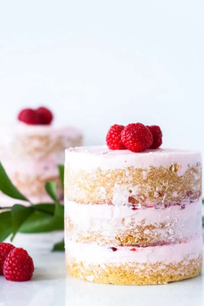 mini desserts for tea party raspberry
