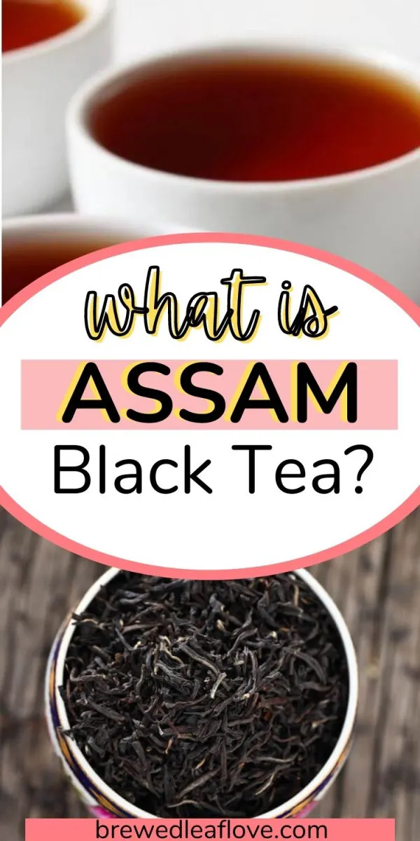 What Is Assam Black Tea? - Brewed Leaf Love