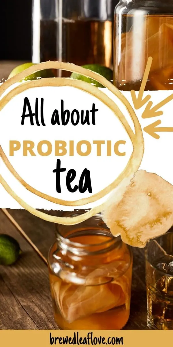 what is probiotic tea graphic