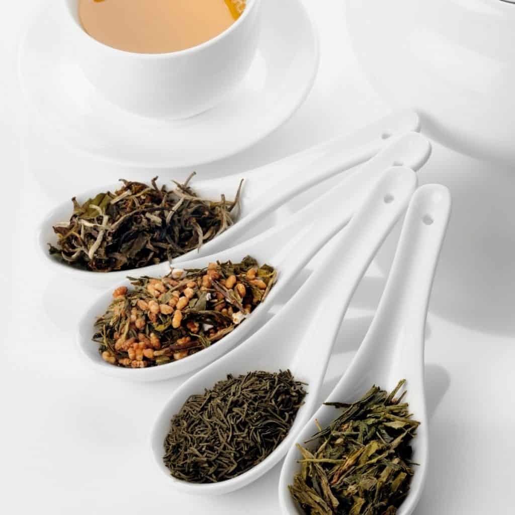bancha green teas