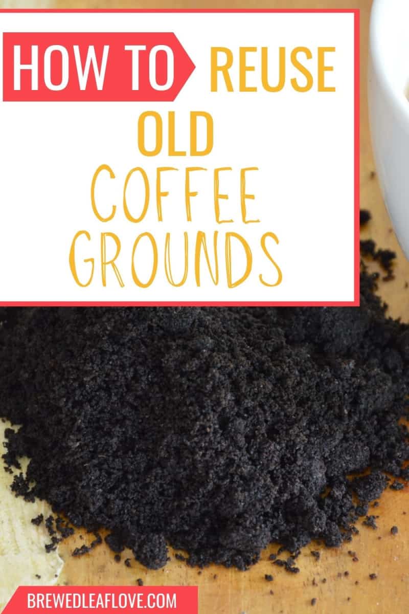 can you reuse coffee grounds graphic