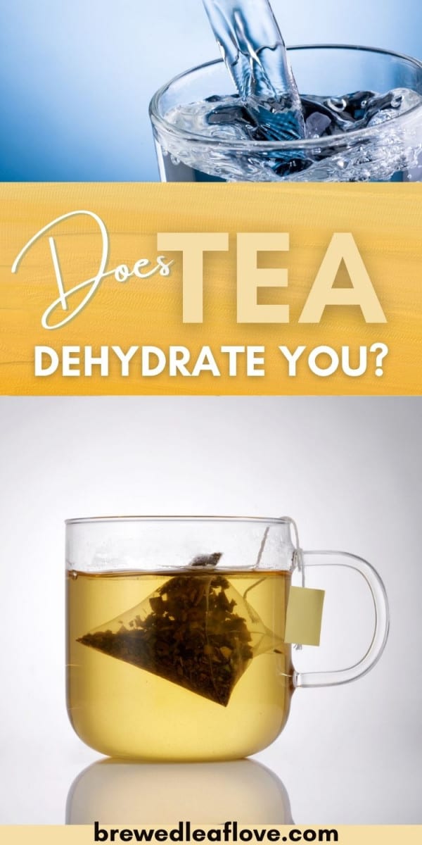 does tea dehydrate you graphic