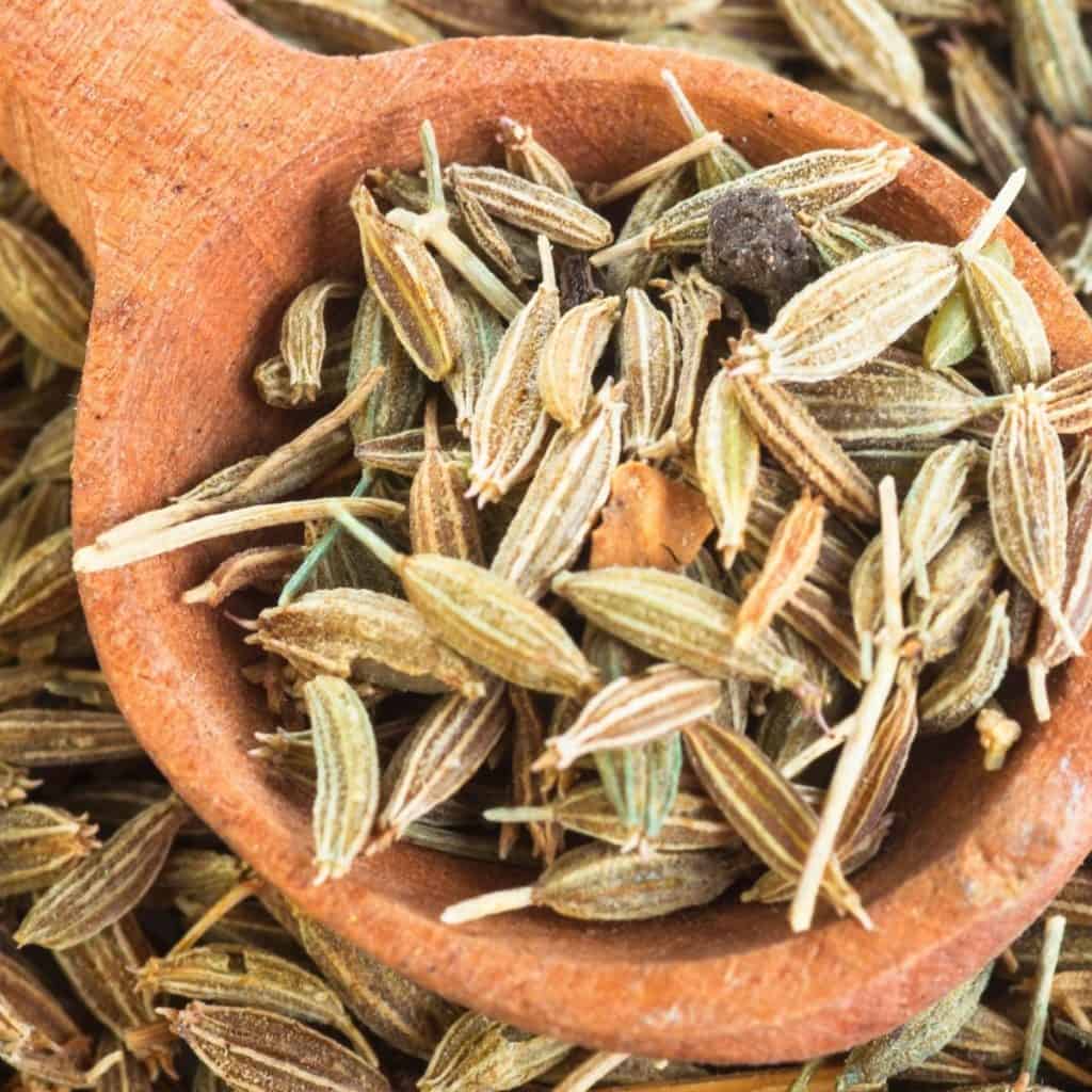 fennel seeds for tea