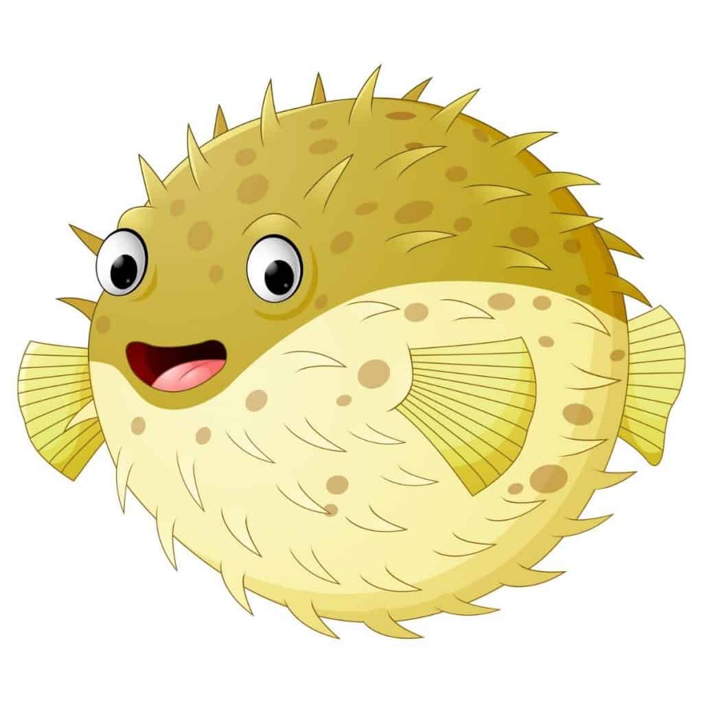 herbal teas for bloating puffer fish