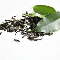 nicotine in tea leaves