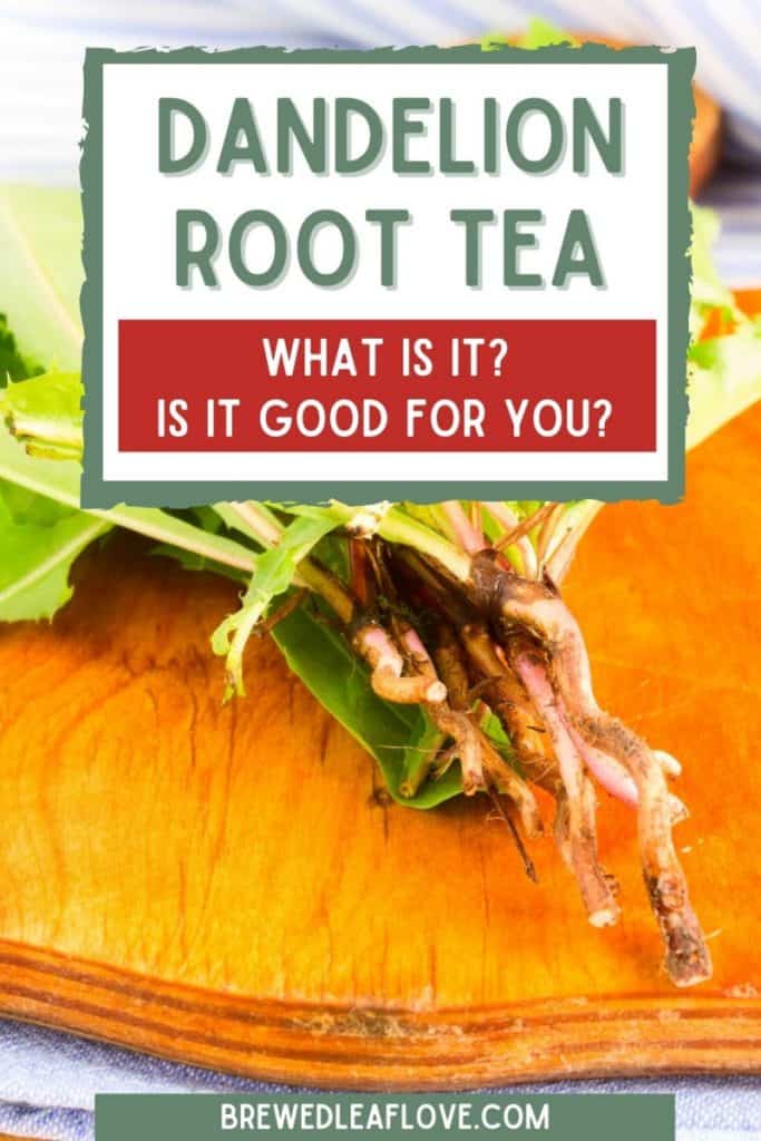 is dandelion root tea good for you graphic