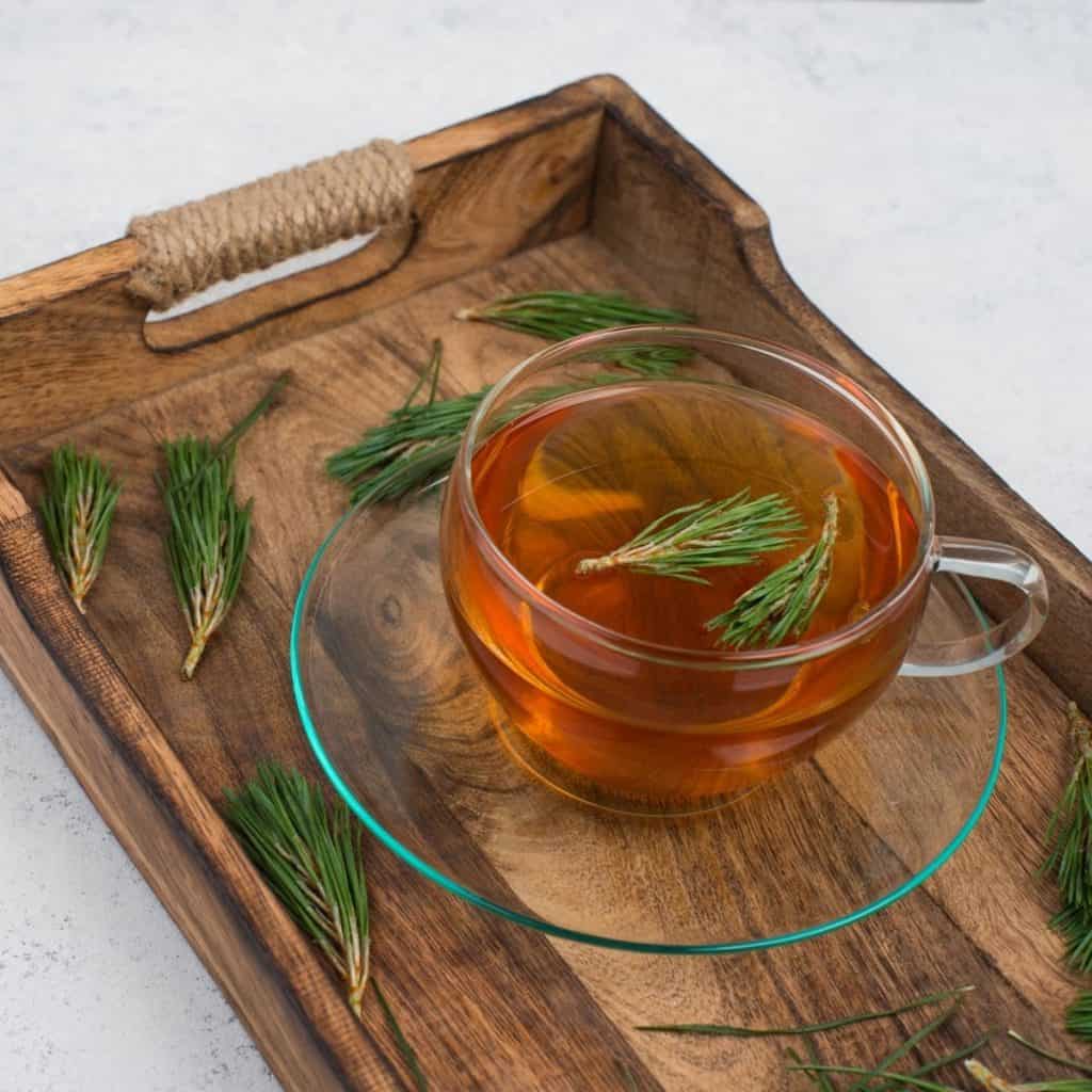 what does pine needle tea taste like