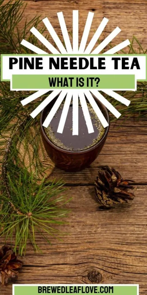 what is pine needle tea