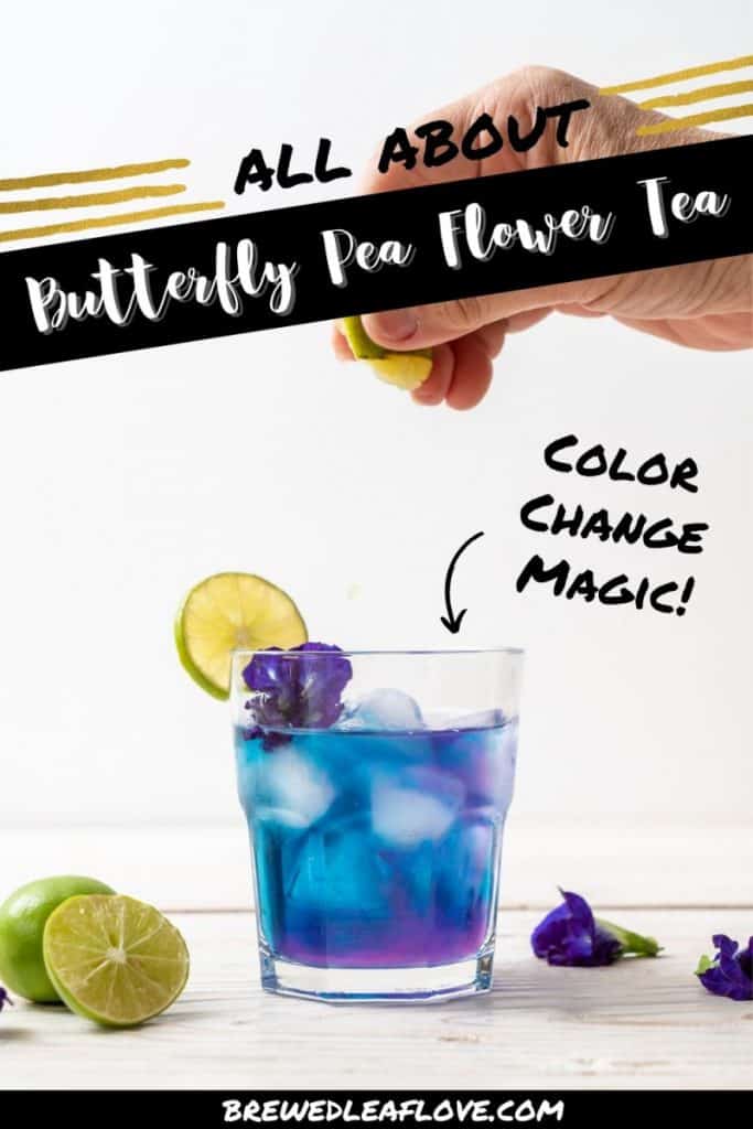 butterfly pea flower tea graphic