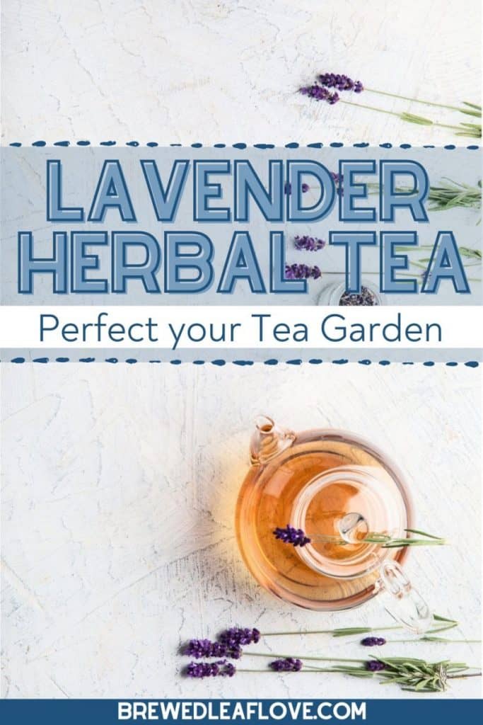 what is lavender tea good for