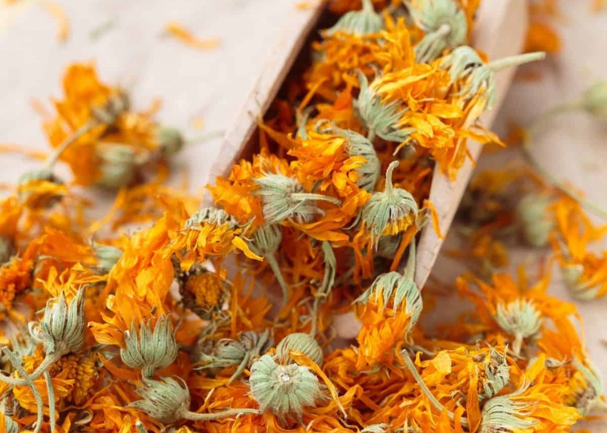 What Is Marigold Tea?