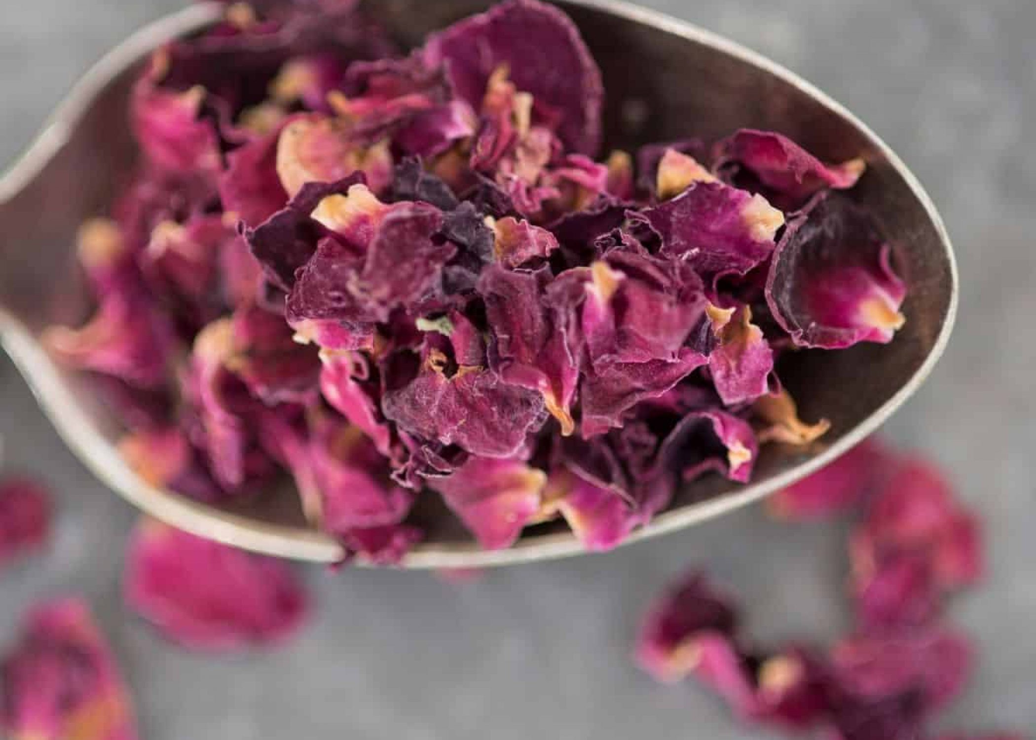 Rose Tea Benefits:  Floral & Healthy