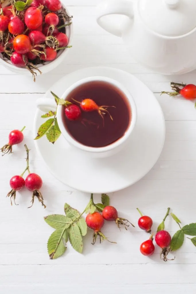 health benefits of rosehip tea