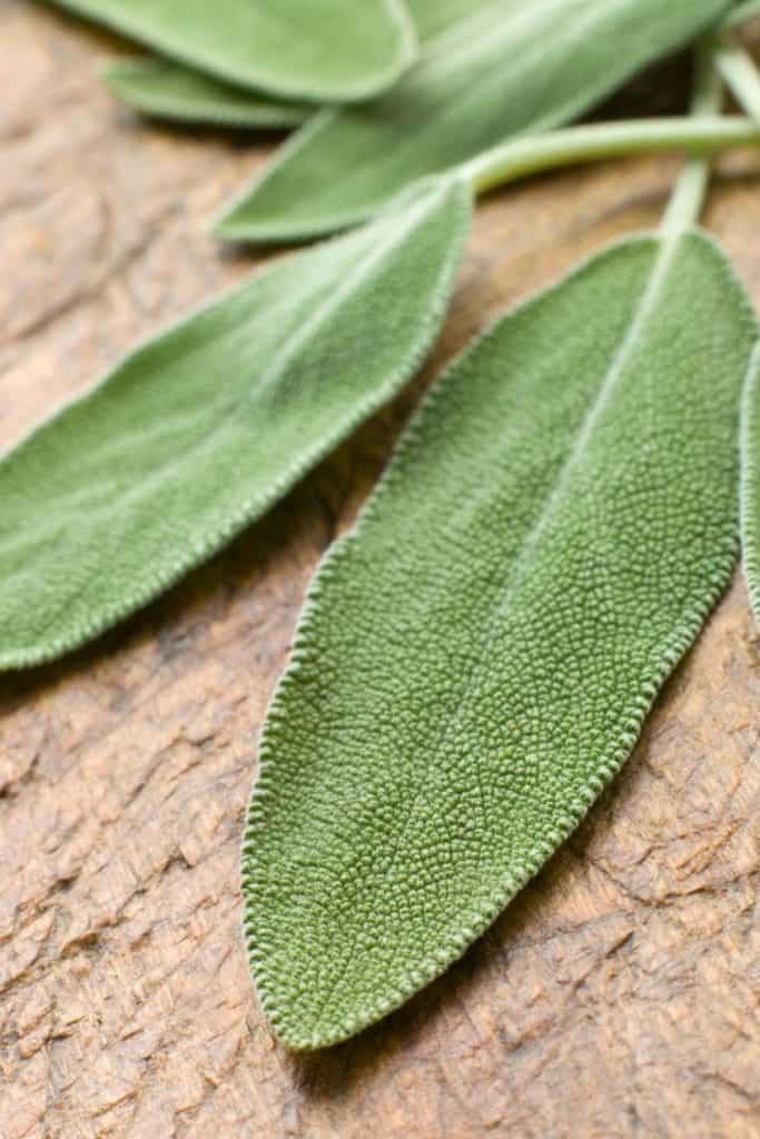 sage leaves on a wooden board