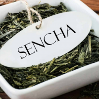 What is Sencha Tea Cover Image
