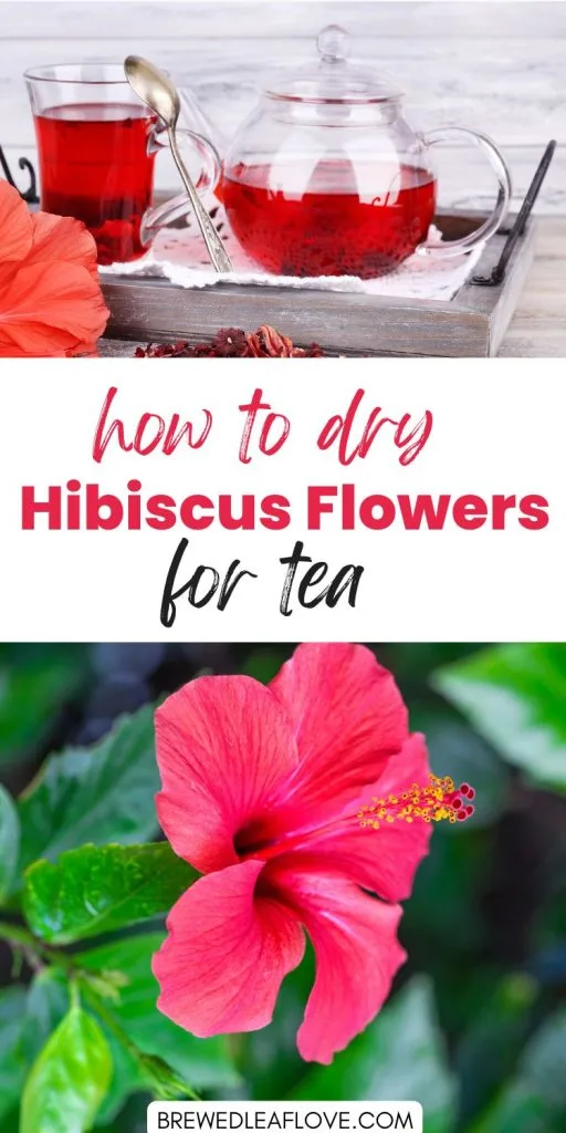 how to dry hibiscus flowers for herbal tea