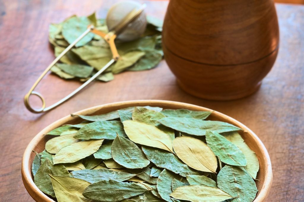 how to make coca leaf tea