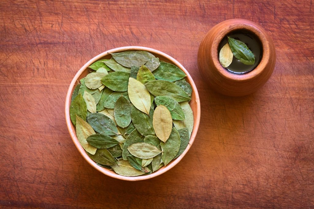 what is coca leaf tea good for