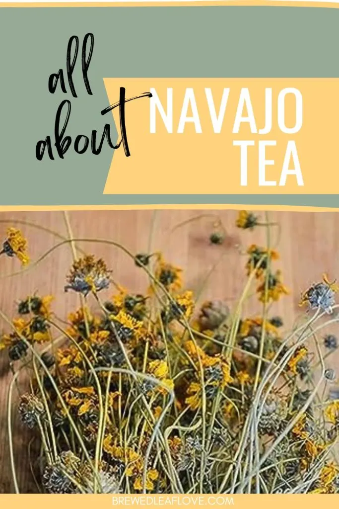 Have you heard of Navajo tea?  This ancient herbal tea has been used by Native Americans for centuries.  Find out all about this easy to brew herbal tisane. 